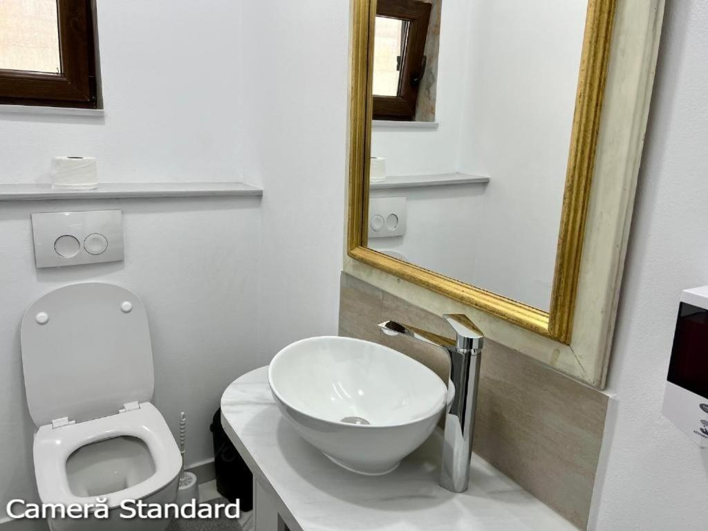 Casa Eden - Apartamente Langa Lac Колибица Экстерьер фото