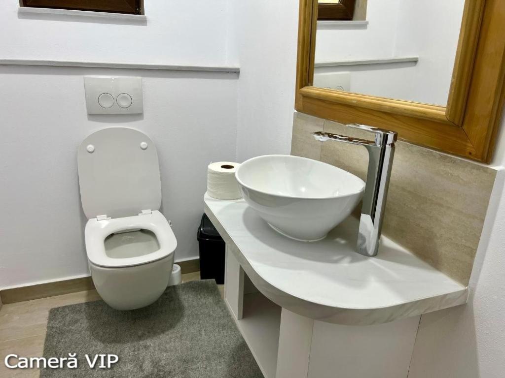 Casa Eden - Apartamente Langa Lac Колибица Экстерьер фото