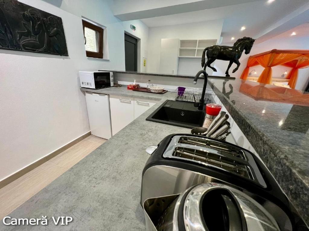 Casa Eden - Apartamente Langa Lac Колибица Экстерьер фото